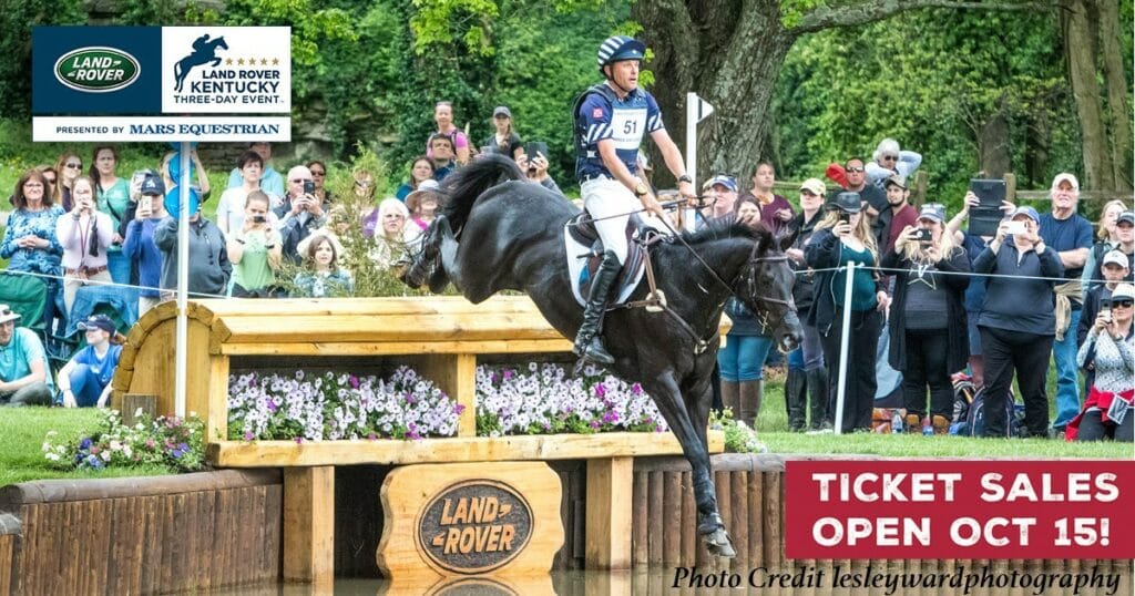horse jumping over a hurdle in a competition