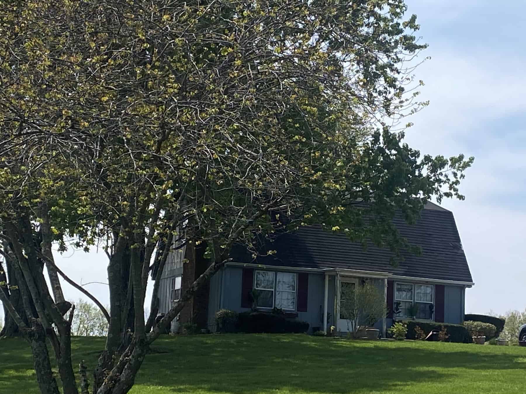 000 East Brannon Road-18