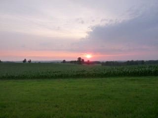 246 Montague Lane-01