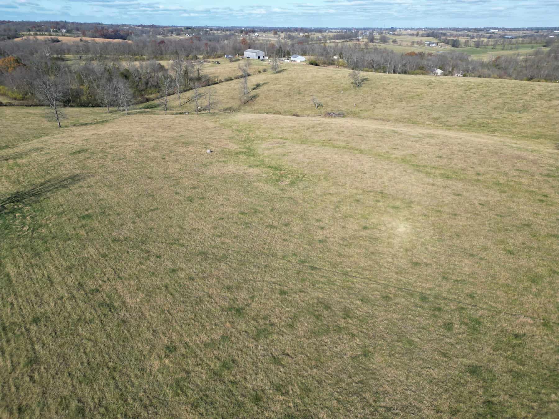 246 Montague Lane-21