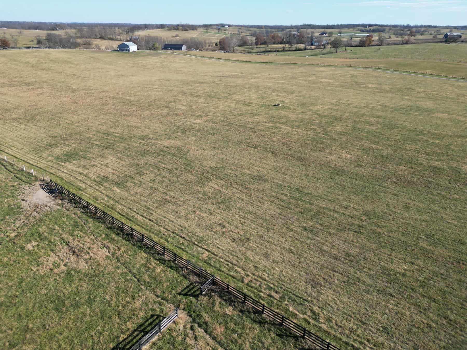 246 Montague Lane-22