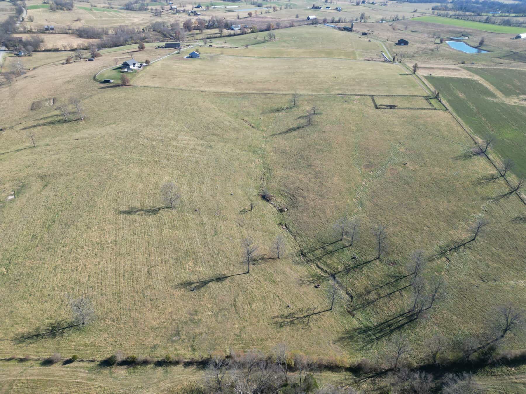 246 Montague Lane-24