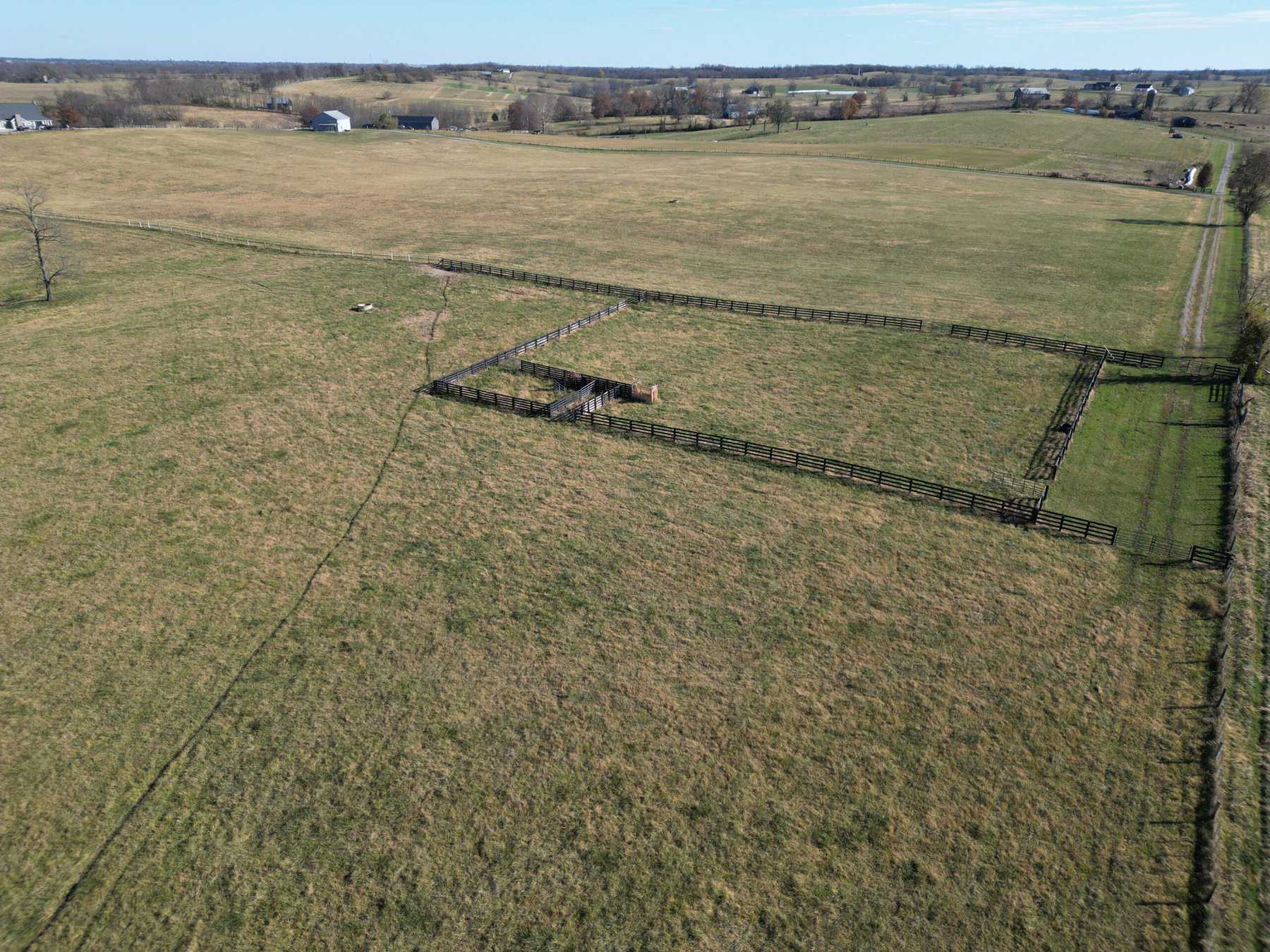 246 Montague Lane-25