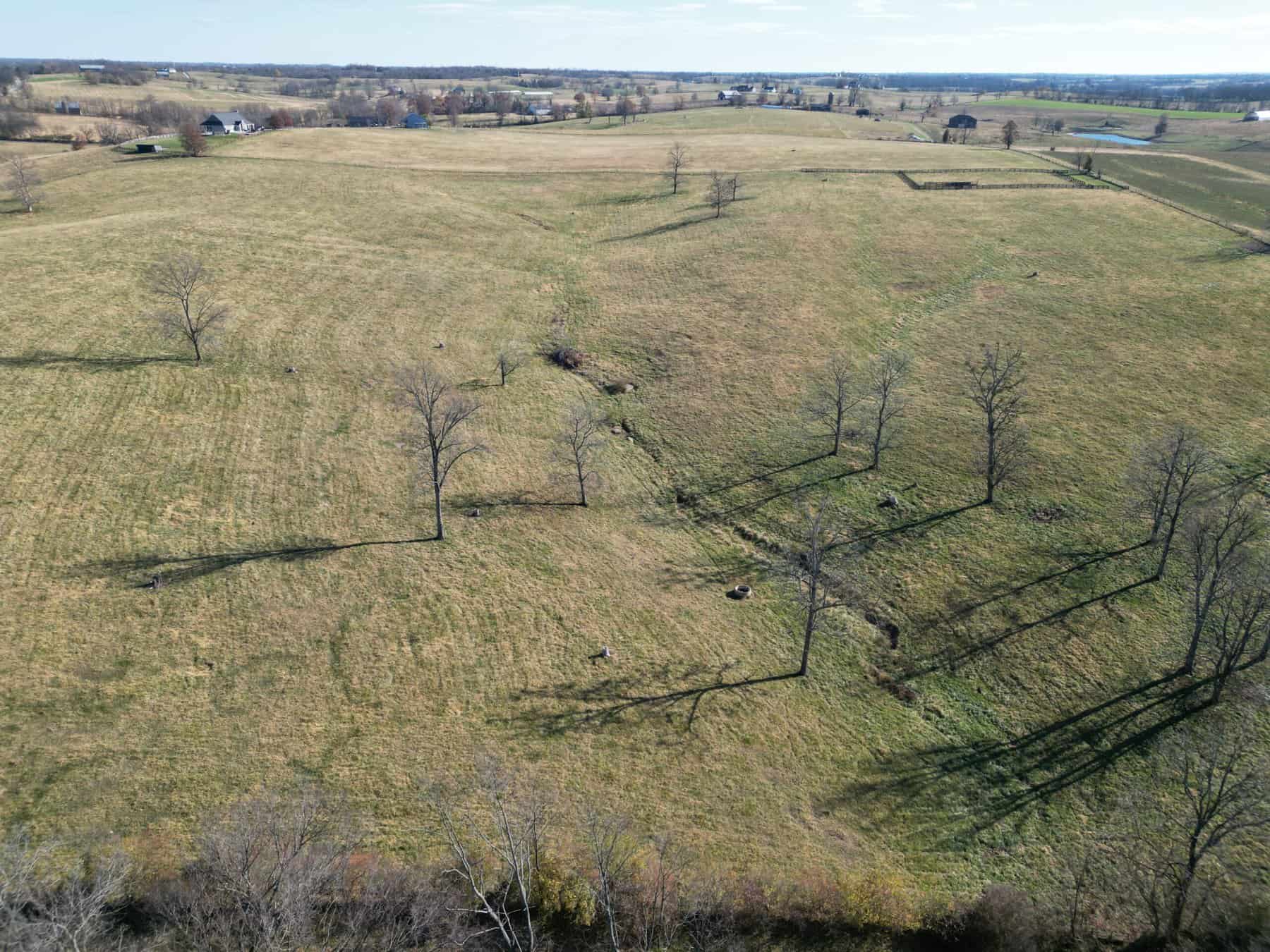 246 Montague Lane-26